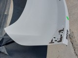 Trunk Lid